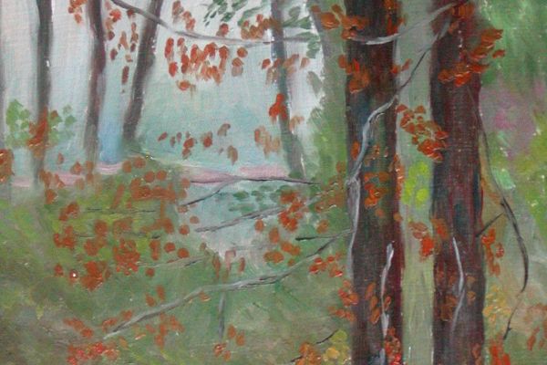 trees-of-the-window53FF3F32-CDBD-2F25-EBBA-F98BC2AC4AD7.jpg