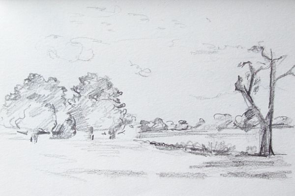 draw-49815F963-C9EA-850B-5468-A0FC40B74FE1.jpg