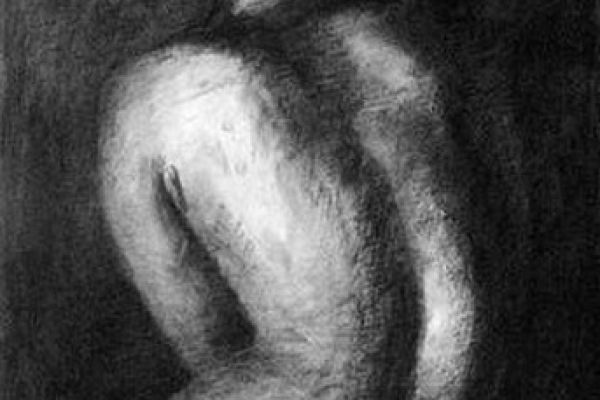 drawing-243A10F9D37-E2F9-2B50-5CB8-7947E1430ECC.jpg