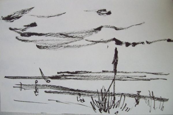 drawing-30FC496362-0AD9-DE58-F830-BA11CEF96252.jpg