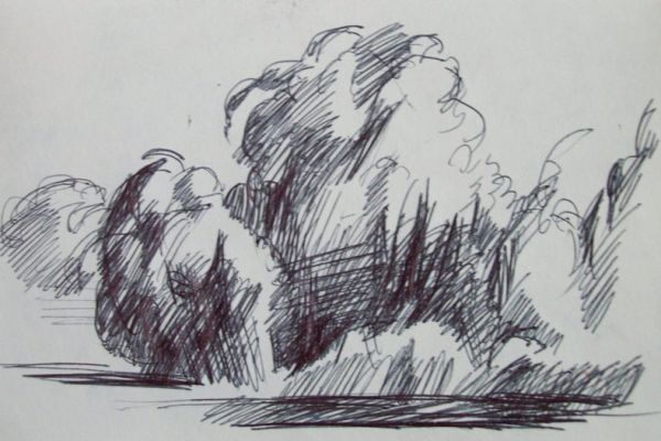 drawing-3366668743-1801-FBA3-8BF2-1057BD1C6E5D.jpg