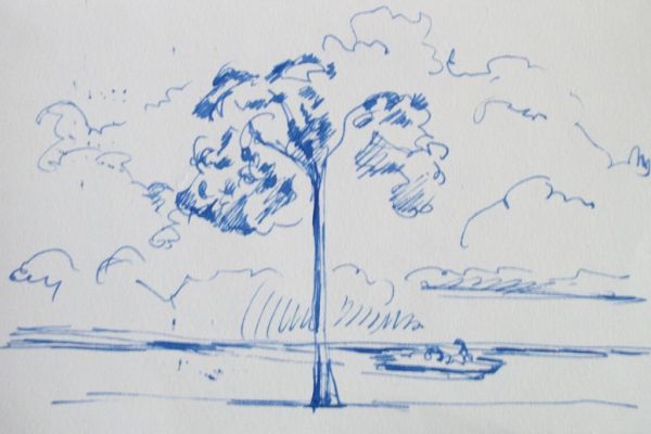 drawing-3614AF2172-9B56-AD3D-ADF0-93AD825D392B.jpg