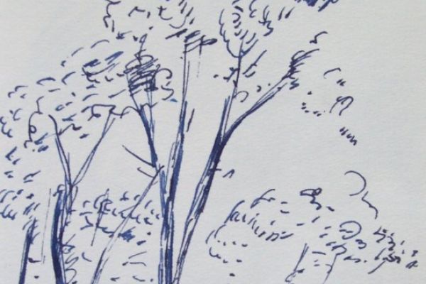 drawing-3704C0B187-1BDF-190E-DA47-BDD3B9601097.jpg