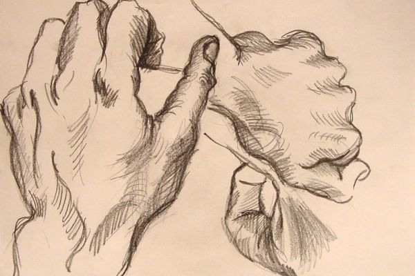 drawing-7460C14D4D-95A3-928D-0325-4EC6A2494EC6.jpg