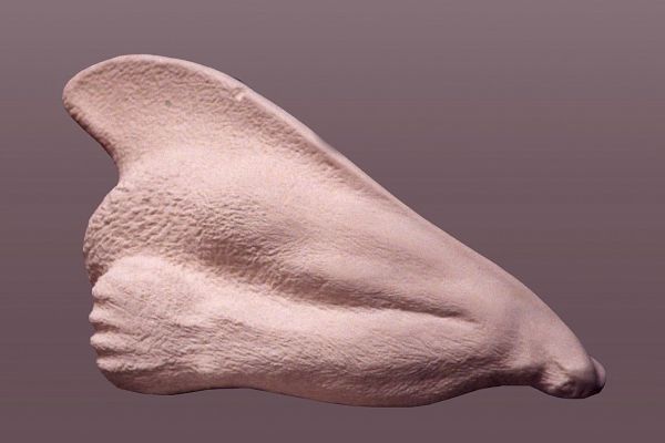 angel-40-x-40-x-70-cm91A4141D-2AEC-867C-3162-A97C2294D95B.jpg